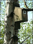 Nest box